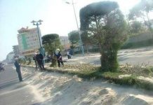 “Bão cát” hoành hành Vũng Tàu "Bão cát" hoành hành Vũng Tàu