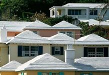 Chống hiệu ứng nhà kính bằng màu trắng