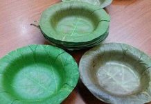 Phát minh ra bát làm từ lá cây, thay thế cho hộp đựng thức ăn bằng xốp độc hại Phát minh ra bát làm từ lá cây, thay thế cho hộp đựng thức ăn bằng xốp độc hại