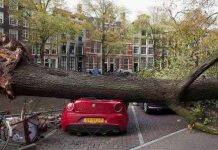 Bão mạnh quét qua, 11 người 6 nước châu Âu thiệt mạng Bão mạnh quét qua, 11 người 6 nước châu Âu thiệt mạng