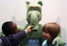 Chế tạo robot phục vụ bệnh nhi