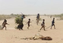 Hạn hán ở Somalia: 110 người chết trong 48 giờ