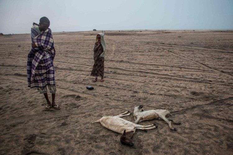 Hạn hán ở Somalia: 110 người chết trong 48 giờ
