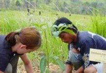 Trồng một tỷ cây xanh để chống toàn cầu ấm lên Trồng một tỷ cây xanh để chống toàn cầu ấm lên