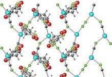 Cá chết trên sông Sài Gòn do chất độc từ củ mì