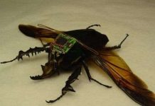 Bọ nghe lén của quân đội Mỹ