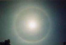 Cận cảnh cuộc chiến của gấu nâu Tại sao xung quanh Mặt trời và Mặt trăng xuất hiện vầng hào quang?