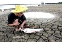 El Nino đi, La Nina đến