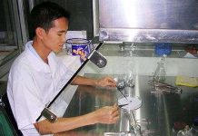 Nhân giống thành công loài thông chứa chất trị ung thư