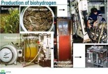 Hydro sinh học: nguồn năng lượng sạch từ rác thải