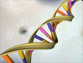 Biến đổi gen làm tăng nguy cơ ung thư
