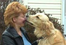 Khi mừng chó vẫy đuôi sang phải Khi mừng chó vẫy đuôi sang phải