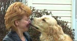 Khi mừng chó vẫy đuôi sang phải