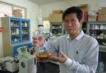 Nhật Bản tìm thấy loại cây giúp tăng tuổi thọ con người