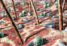 Thế giới “kì thú” của vi khuẩn trong cơ thể người Thế giới “kì thú” của vi khuẩn trong cơ thể người