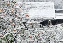 Vì sao khí hậu ấm lên mà mùa đông lại "rét kỷ lục"?