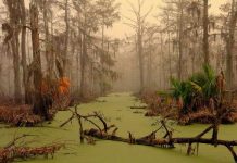 10 nơi đáng sợ nhất thế giới