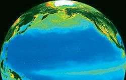 Sinh vật phù du góp phần tạo ra siêu bão