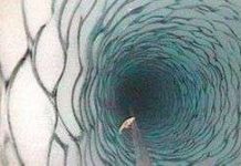 Thấy sinh vật ở sâu 180m dưới băng tại Nam Cực