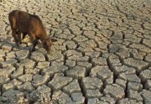 Biến đổi khí hậu “tấn công” vùng châu thổ sông Volta Biến đổi khí hậu "tấn công" vùng châu thổ sông Volta