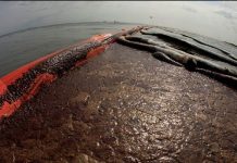 Có thể dùng tóc người để làm sạch dầu tràn? Có thể dùng tóc người để làm sạch dầu tràn?