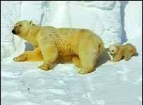 Ngăn chặn động vật tuyệt chủng