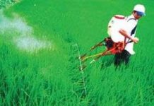 Nông dân chế tạo bộ phụ kiện phun thuốc đa năng