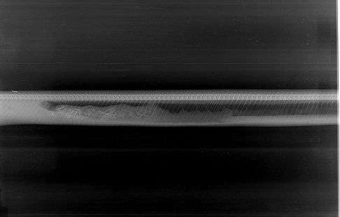 Chùm ảnh X-quang trăn tiêu hóa cá sấu trong bụng gây sốc