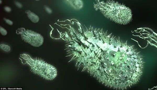 Thế giới “kì thú” của vi khuẩn trong cơ thể người