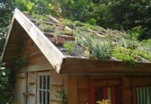 Australia khuyến khích trồng cây trên các mái nhà Australia khuyến khích trồng cây trên các mái nhà