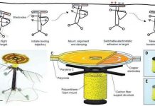 Robot do thám nhỏ nhất thế giới