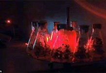 Tia laser của Nga sẽ cứu thế giới khỏi nạn đói