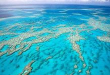 Đã quá muộn để cứu các đại dương?