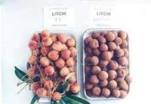 Bảo quản trái cây bằng màng MA