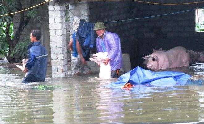 Thành phố Uông Bí ngập lũ do mưa lũ, Yên tử bị cô lập