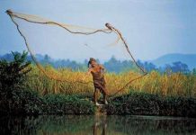 Khủng hoảng sinh thái đe dọa tiểu vùng Mekong