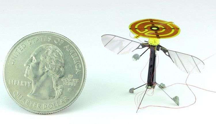 Robot do thám nhỏ nhất thế giới