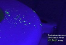 Xem cách vi khuẩn lan nhanh từ bồn cầu đến miệng người