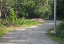 Các tỉnh Bắc Bộ trời hửng nắng, nhiệt độ tăng dần