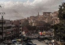 Những cuộc xâm chiếm kinh dị của côn trùng "xấu xí"