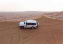 Liên hợp quốc cảnh bảo về hiện tượng sa mạc hoá đang diễn ra trên thế giới Liên hợp quốc cảnh bảo về hiện tượng sa mạc hoá đang diễn ra trên thế giới