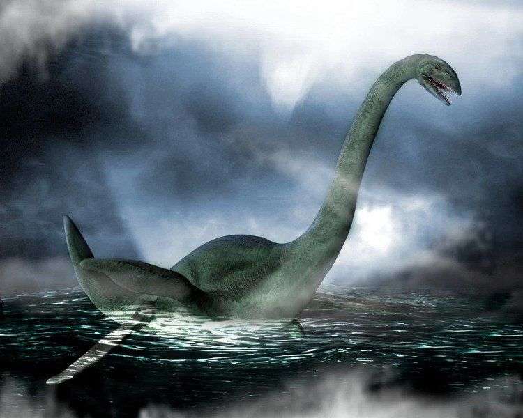 Xác động vật dạt vào bờ Loch Ness, nghi là quái vật huyền thoại
