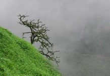 Tây Nguyên và Nam bộ xuất hiện mưa trái mùa