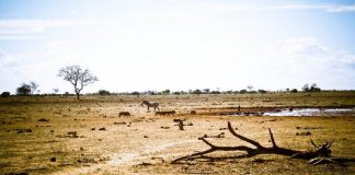 Trái đất sẽ có thêm rất nhiều sa mạc Sahara nếu xu hướng này tiếp tục xảy ra