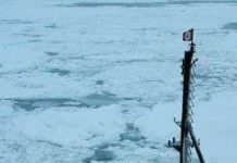 Băng tan trôi khắp vùng biển Nam New Zealand Băng tan trôi khắp vùng biển Nam New Zealand