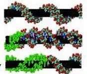 Chip cảm biến làm từ ống nano cacbon