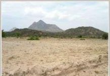 28% diện tích đất đai của Việt Nam bị hoang hóa 28% diện tích đất đai của Việt Nam bị hoang hóa