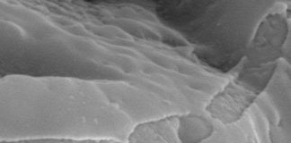 Vi khuẩn hơn ba tỷ năm tuổi trốn nắng trong hang đá