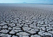 Trung Quốc phát triển loại rau trồng được trong nước mặn Năm 2011 - một trong mười năm nóng nhất