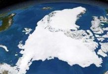 Đảo băng khổng lồ bị tách làm đôi